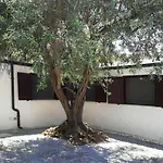 La Plaja 아파트 *