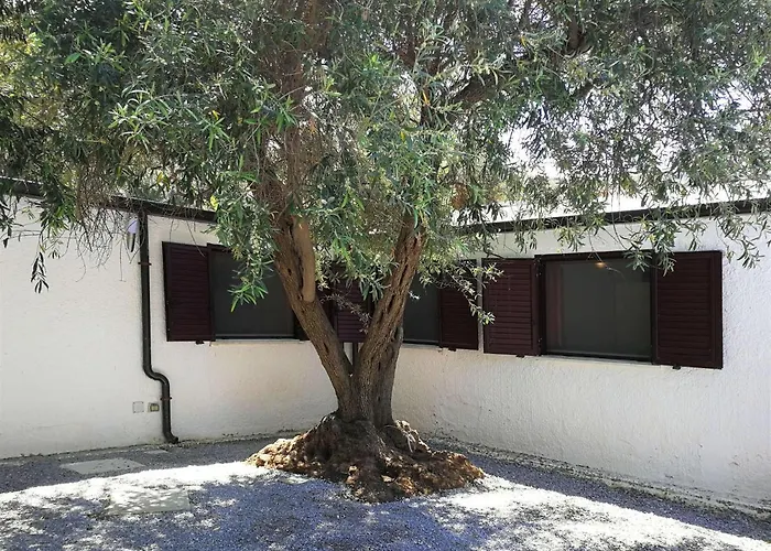 La Plaja Apartment *