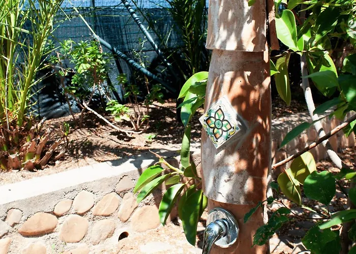 Apartment La Plaja *